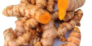 Fresh Turmeric Finger