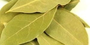 Organic Bay Leaves