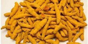 Organic Turmeric Finger