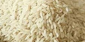 Swarna Non Basmati Rice