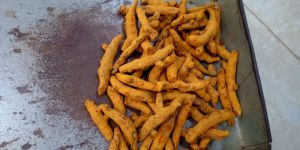 Turmeric Finger (Verali)