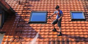 Roof Cleaning Service