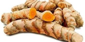 Raw Turmeric Finger