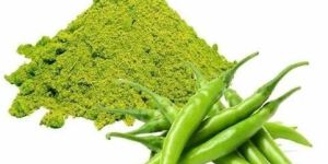 Dehydrated Green Chili Powder