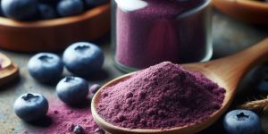 Spray Dried Blueberry Juice Powder
