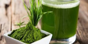 Dehydrated Wheatgrass Powder