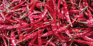 Armor Dry Red Chilli