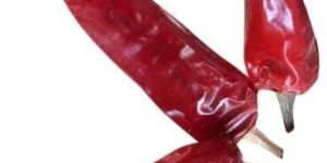 Bullet Dry Red Chilli