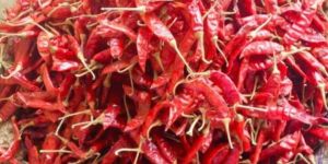 S4 334 Sannam Dry Red Chilli