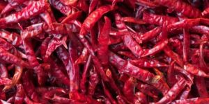 Teja Dry Red Chilli