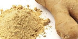 Dehydrated Ginger Powder