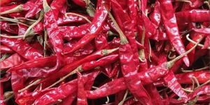 Organic Whole Red Chilli