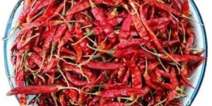 Guntur Dry Red Chilli