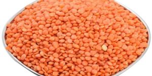 Red Masoor Dal