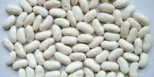 White Kidney Beans