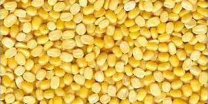 Yellow Moong Dal