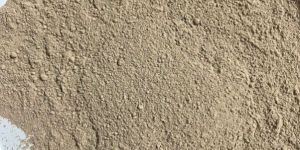 Paddy Rice Husk Powder