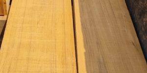 Burma Teak Wood