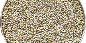 BAJRA (A Cow Based Produce)