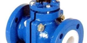 Lined Valve
