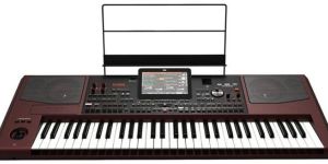 Korg PA1000 61-Key Pro Arranger Keyboard