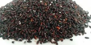 Kala Bhat Black Rice
