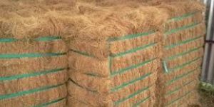 Coir Fiber