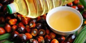 Palm Oil