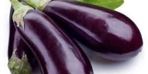 Brinjal