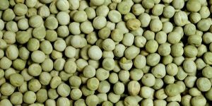 Green Peas