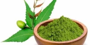 Neem Fruit Powder