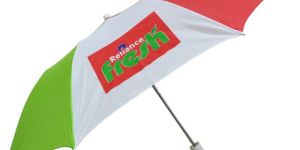 24.5 Inch Two Fold Umbrella