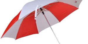 27 Inch Two Fold Umbrella