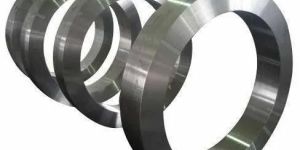 Stainless Steel Seamless Forged Rings