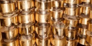 Phosphor Bronze Worm Gear