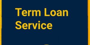 Term Loan Service