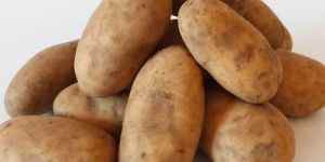 Brown Potato