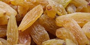 Golden Raisins