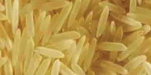 Sugandha Golden Sella Basmati Rice