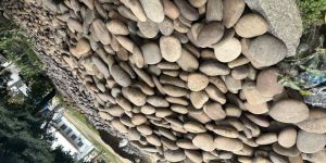 Natural Pebbles Stone