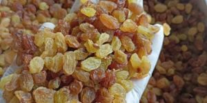 Malayar AAA Raisins