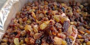 Malayar Raisins