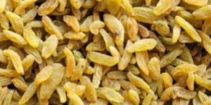 Premium Yellow Raisins