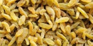 Super Golden Raisins