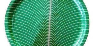 Banana Leaf Plate