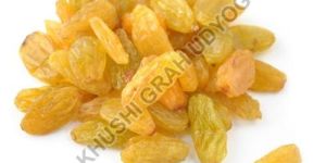 Yellow Raisins