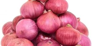 Fresh Pink Onion
