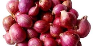 Fresh Sambar Onion
