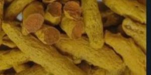 Salem Turmeric Finger