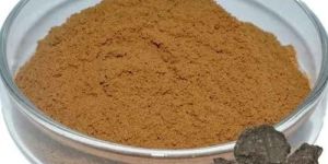 Shilajit Powder